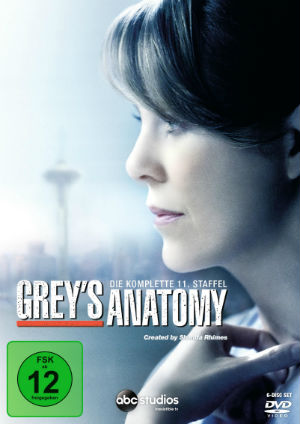 greys-anatomy-season-11-cover